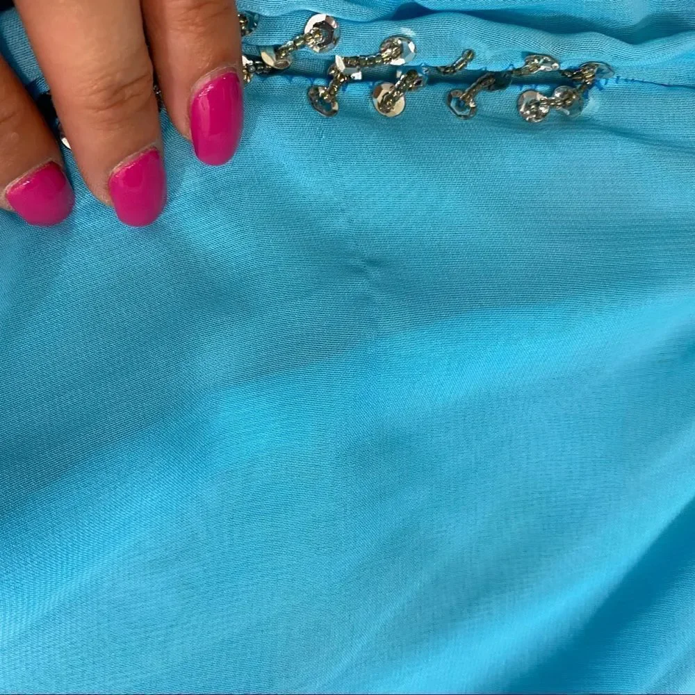 One of a Kind Sheer Belly Dancing‎ Skirt One Size